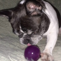 Михаил Никоноров