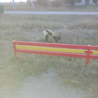 Андрей Савенков