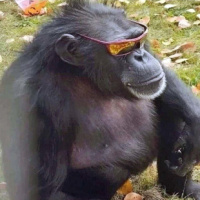 Читающий Черт