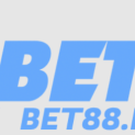 Bet88 photo