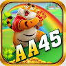 AA45