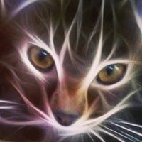 Елена Проскурова