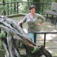 Светлана Минкевич