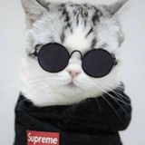 Андрей Ждырев