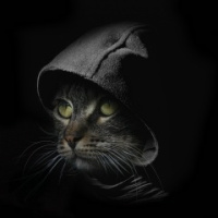 Александр Миллер