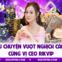ceoquynhbupbe