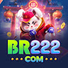BR222