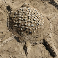 Светлана Викторовна