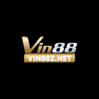 VIN88 Trải nghiệm