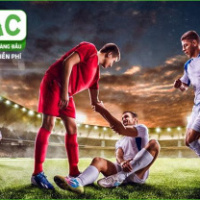 boalogistics .com die web