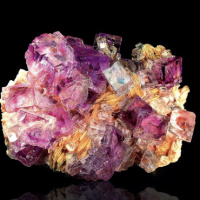 Федорова Соня