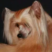 Ксения Славина