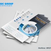 Thiết kế catalogue