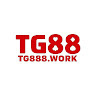 Tg888 work