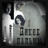 Фолкнер Уильям – Дикие пальмы