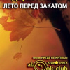 Лессинг Дорис – Лето перед закатом