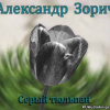 Зорич Александр – Серый тюльпан