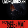 Смородинский Георгий – Последний Боевой Маг