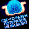 Алехин Артур – Где-то разум потерялся, не видали?