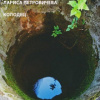 Петровичева Лариса – Колодец