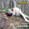 Каминский Евгений – Тихий