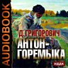 Григорович Дмитрий – Антон-Горемыка