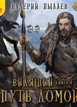 Пылаев Валерий – Видящий. Путь домой