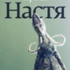 Сорокин Владимир – Настя
