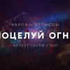 Эллисон Харлан – Поцелуй огня