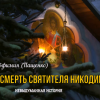 Пащенко Евфимия – Жизнь и смерть святителя Никодима