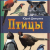 Дмитриев Юрий – Птицы