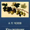 Чехов Антон – Беглец