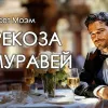 Стрекоза и муравей