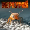 Меркурий