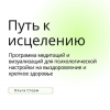 Путь к исцелению. Программа медитаций и визуализаций для психологической настройки на выздоровление и крепкое здоровье