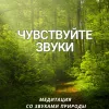 Чувствуйте звуки. Медитация со звуками природы