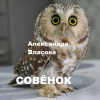 Совёнок