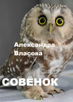 Совёнок