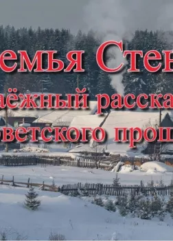 Семья Стень