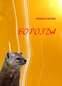 Борозда