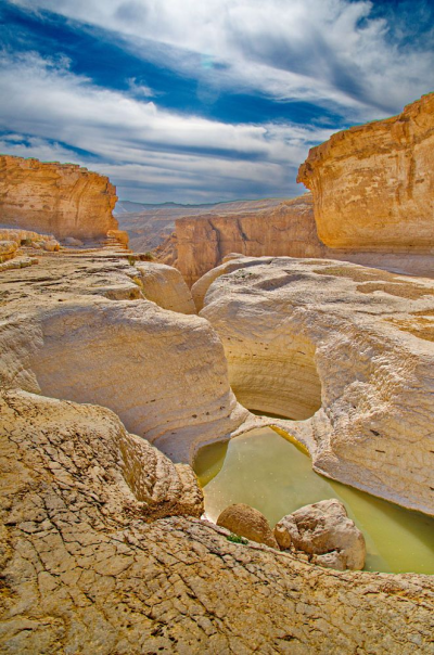 Vicipaedia. Том 8