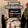 Безумие под Новый год