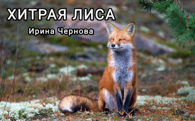 Хитрая лиса