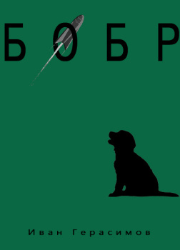 Герасимов Иван – Бобр