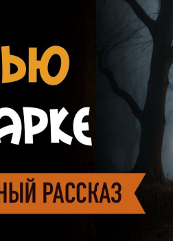 Ночью в парке