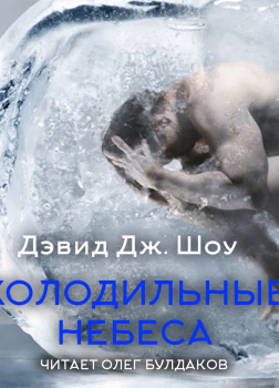 Холодильные небеса
