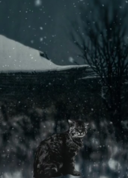 Нурмухаметов Тагир – Верь мне, кот