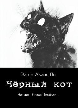 Чёрный кот