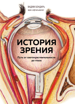 История зрения - путь от светочувствительности до глаза