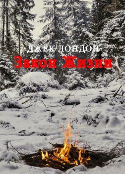 Закон жизни